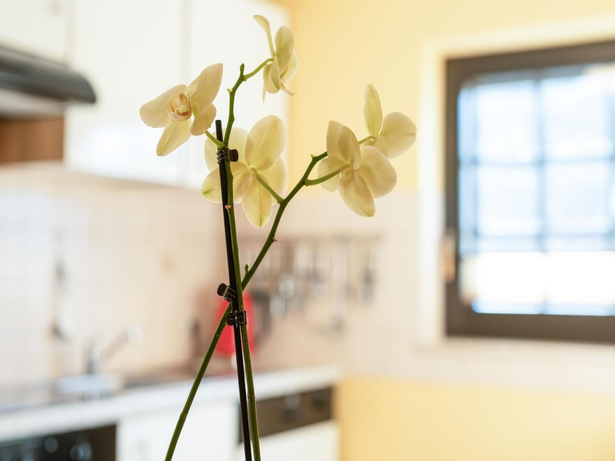 A Modern Apartment In The Hunsr Ck Region S Romantic Drohn Valley Merschbach Εξωτερικό φωτογραφία